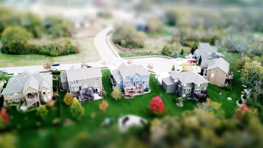 Miniature Colony